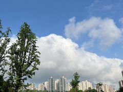 -龙头寺公园