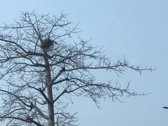 -东莞银行篮球中心