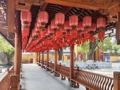 -上海东林寺(金山区)