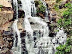 -海南热带雨林国家公园吊罗山景区