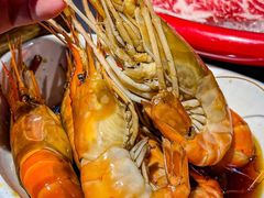 -金龙·打边炉(南京西路店)