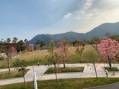 -白石龙音乐公园