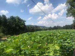 -韶山毛泽东同志故居