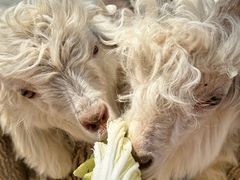 -水上乐园·欢乐世界