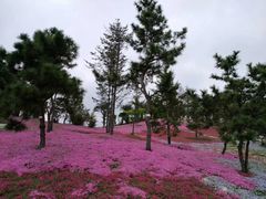 -南通洲际绿博园