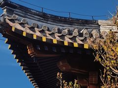 -香山公园