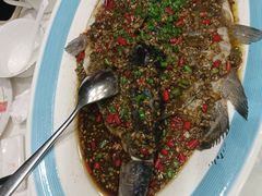 -潇湘甲鱼村(清河店)