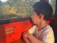 -合肥滨湖国家森林公园