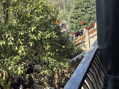 -青城山