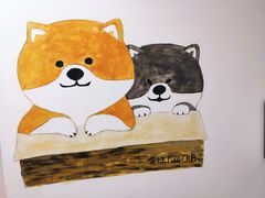 -柴迷FANS CLUB·柴犬狗咖·猫咖
