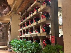 -泥糊破店小酒馆·团建聚餐(南京西路店)