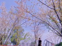 -幕燕滨江·长江观音景区