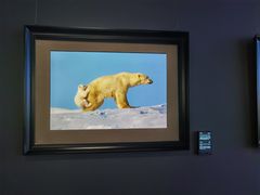 -罗红摄影艺术馆