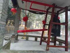 -缙云山景区