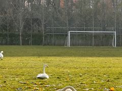 -银树楼(紫玉山庄东区店)