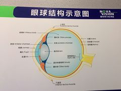 -宝岛眼镜(虎门人民中路店)