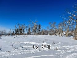 -大秃顶子山