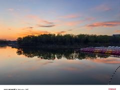 -大兴滨河森林公园