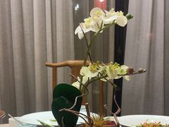 -宛平九号
