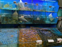 水产区-叶姐海鲜(棋子湾店)