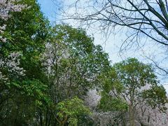 -洨河生态公园