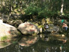 -洛阳白云山景区