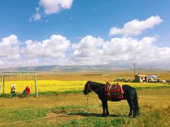 -青海湖国家重点风景名胜区