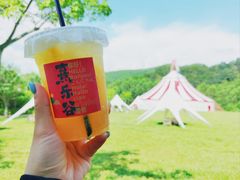 -清远熹乐谷温泉度假酒店