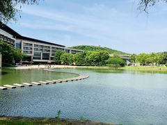 -上海佘山世茂艾美酒店