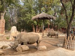 -北京野生动物园
