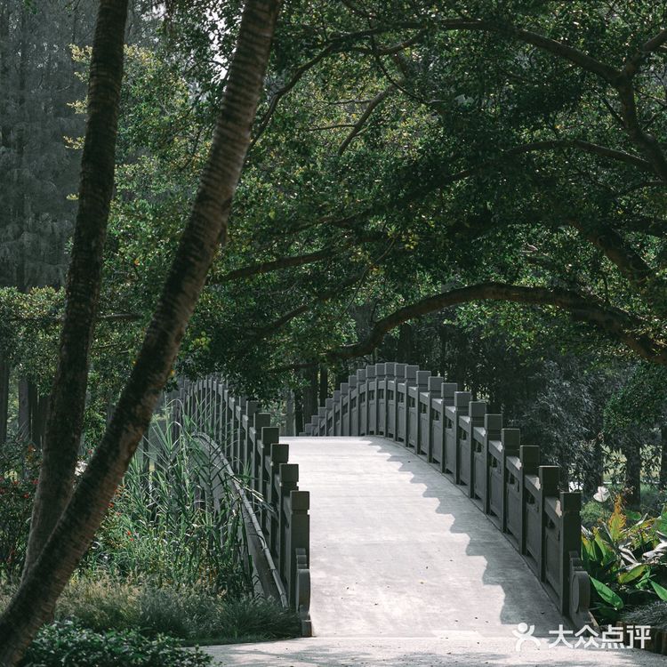 扫街日记📸•深圳蛇口人的青春| 四海公园💚