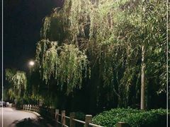 -莱西月湖公园