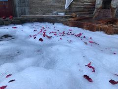 -北京美神宫艺术主题温泉酒店