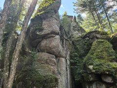 -汤旺河林海奇石景区