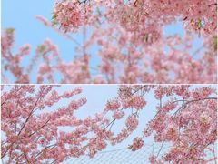 -白沙门生态公园