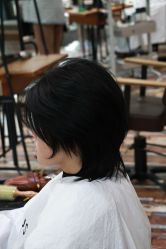 -IDOL-PLUS