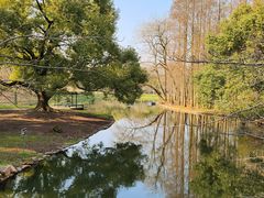 -上海共青森林公园