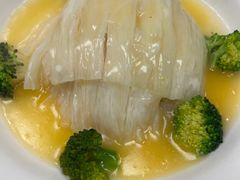 素鱼翅-丁老爷子苏香圆
