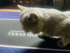 -第三空间·趣味桌游·轰趴.室内CS.剧本杀(大武汉1911店)