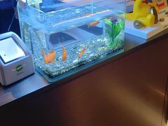 -华夏良子·足道SPA艾灸(王府井店)