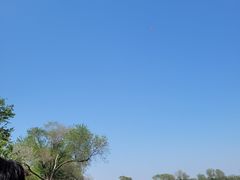 -西青郊野公园