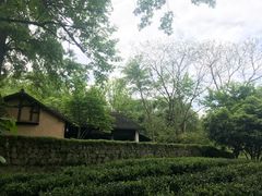 -法云安缦酒店