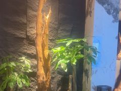 -观宴·品质赣菜(高新大道店)