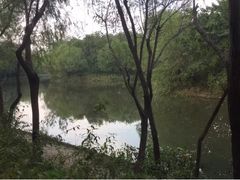 -新江湾城公园