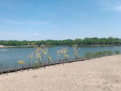-东郊湿地公园