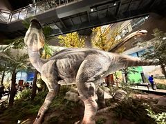 -湖南省地质博物馆