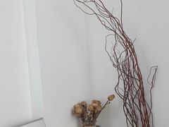 -HALF ORANGE 半个橙子