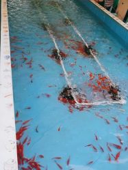 -萌宠亲子动物乐园(槐房万达店)