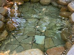 -咸宁万豪温泉谷度假区