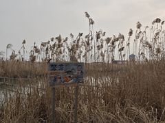 -下渚湖国家湿地公园科普馆